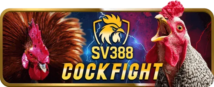 Người chơi trải nghiệm nổ hũ trên ứng dụng di động betvip win