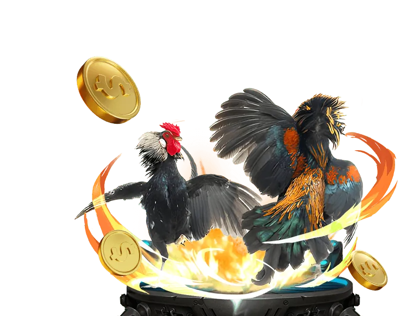 Chương trình VIP betvip win